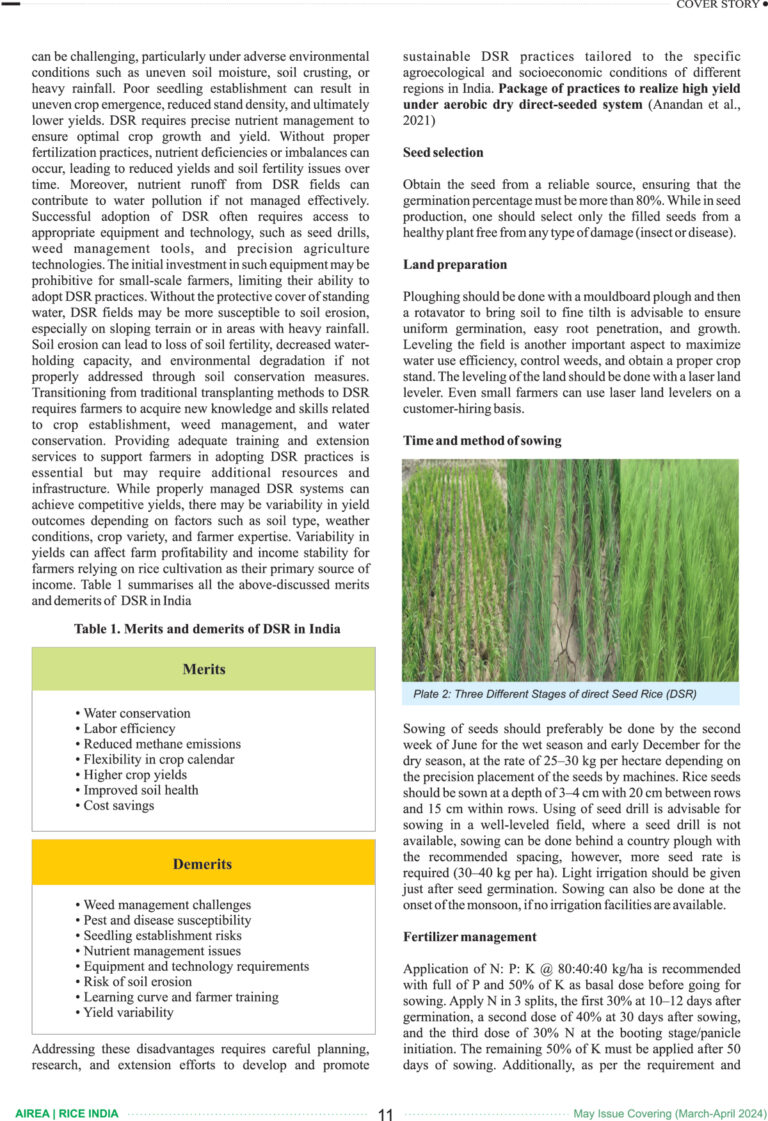 Rice-India-16-May-2024-13